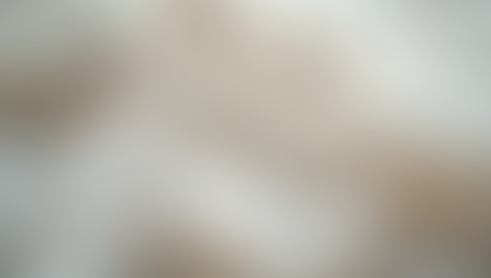 Roothread: Redefining Organic Streetwear Fashion in Canada