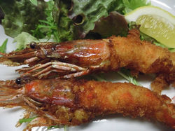 11057942_892138477511647_3956249738088993954_o