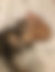 kedi yuvalandırma ilanları için sahiplendirme amaçlı ücretsiz son resim
