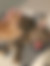 kedi sahiplendirme ilanları içinde birinci resmin ikon boyutu