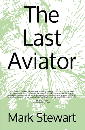 The Last Aviator.PNG
