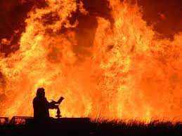 Argentina: incendio devasta Parco nazionale Iberá