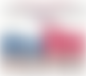 Scende in campo anche Biden