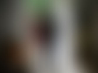 Badanti con falsi permessi di soggiorno, 19 arresti a Udine