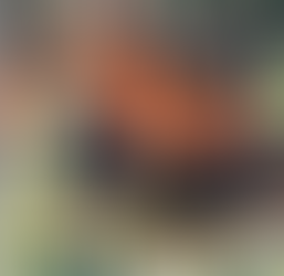 L’Italia vuole stupire