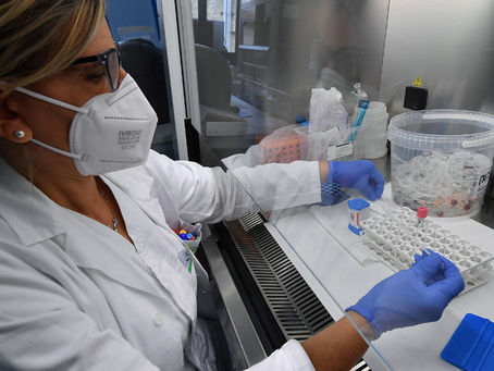Covid: a un passo da test clinici per monoclonali italiani