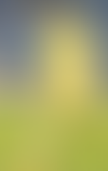 IlVeronaespugnal’Olimpico