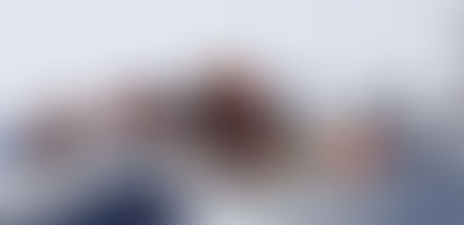 L’Italia terra di conquista