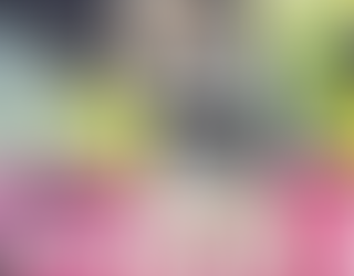 Juve: «domare» il Lione