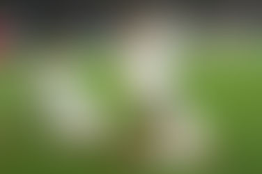 Germania-Danimarca 2-0, tedeschi ai quarti