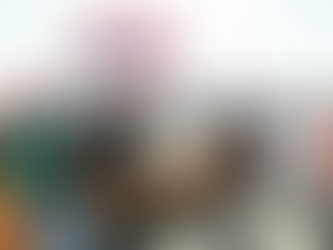 “Non ci lasceremo invadere”