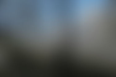 L’impatto dello smog sugli ecosistemi, al via progetto Life Modern Nec