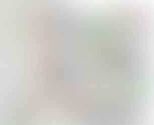 Volevano scioglierlo nell’acido