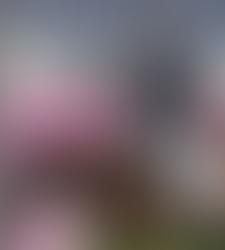 Gli Azzurri oltre il nuoto