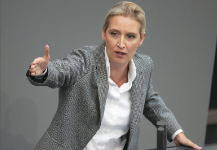 Boom dell’Afd in Baviera