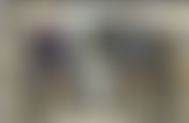 Una transizione
spinosa