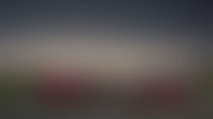 Alfa Romeo Giulia e Stelvio brillano a maggio