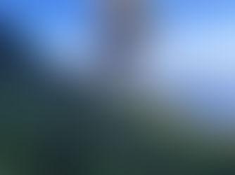 Mundys, Neya lancia in Cile un nuovo progetto di riforestazione di 170 ettari