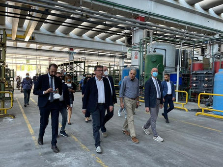 Green pass, il Governo vuole estenderlo anche alle aziende private