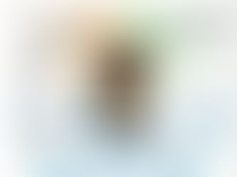 Il Mistero Buffo del suo teatro