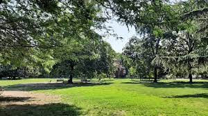 Pnrr, via libera alla messa a dimora di 1,8 mln di alberi in 11 città