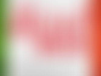 Iliad/La low cost francese della telefonia approda in Italia