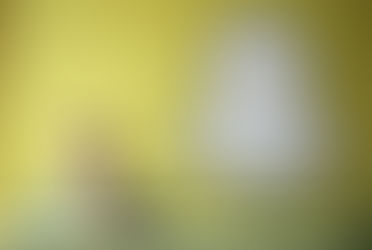 Snapchat 'resiste' tra i teenager Usa