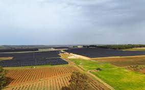Engie inaugura in Sicilia il più grande parco agrivoltaico d’Italia
