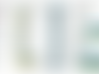 L’Fmi promuove l’Italia