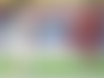 Fuori con l’onore delle armi