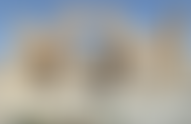 L’archeologia ferita di Palmira Castagni