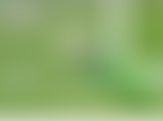 Inglesi, difesa di acciaio