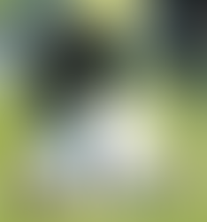 La Lazio è inarrestabile