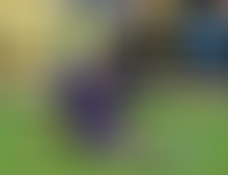 Chiesa non è più incedibile