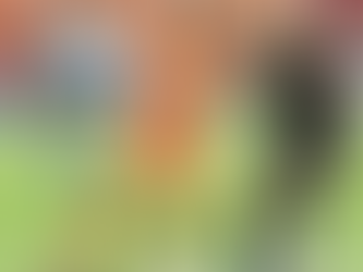 Chi vince affronta l’Italia