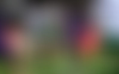 La Fiorentina fatica, ma piega 2-0 i campioni del Galles