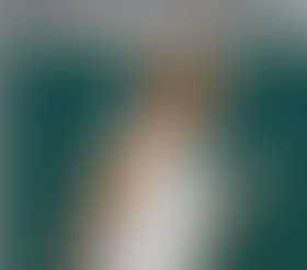 Giorgi vince il torneo di Montreal