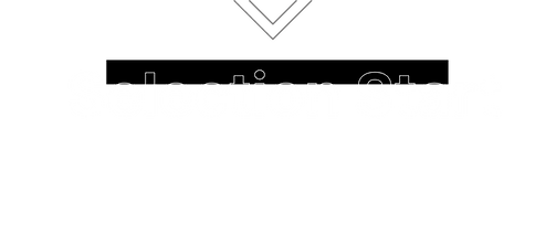 CNO総選挙サンプルLPのコピー (4).png