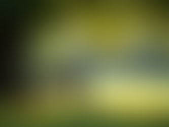 How I spotted the absence of compassion