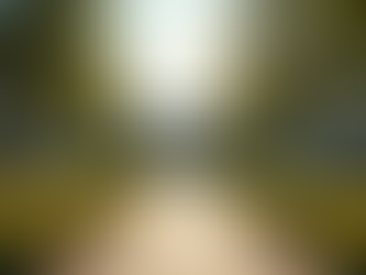 Exploring Compassionate Leadership