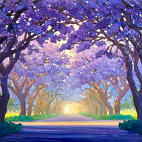 Jacaranda Way