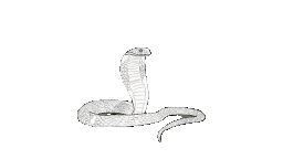 voyance-isaabelle-r-voyance-lyon-serpent