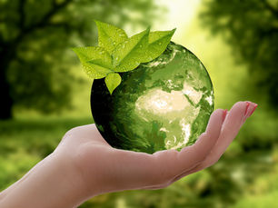Importance of ESG for investors and companies seeking potential investments