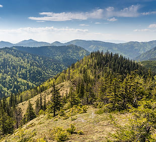 smrekovica-23 copy.jpg