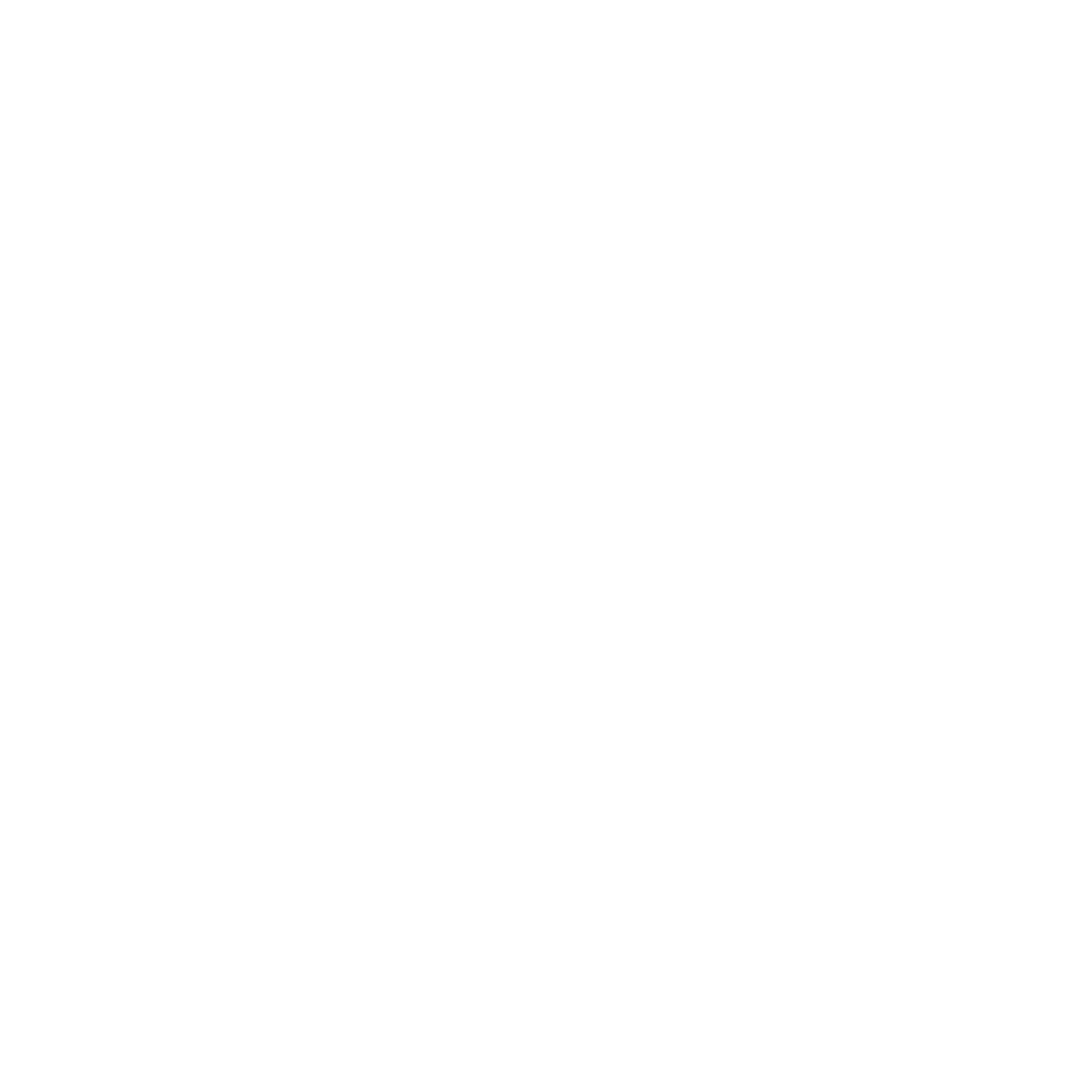 Stern icon weiß.png