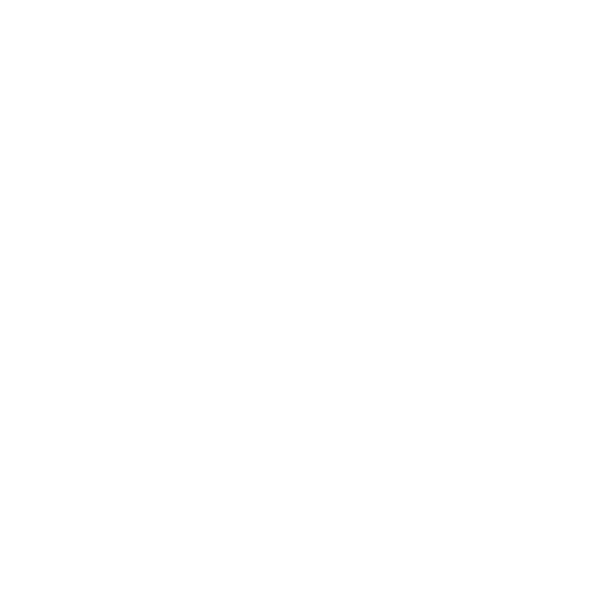 Boden Icon weiß.png