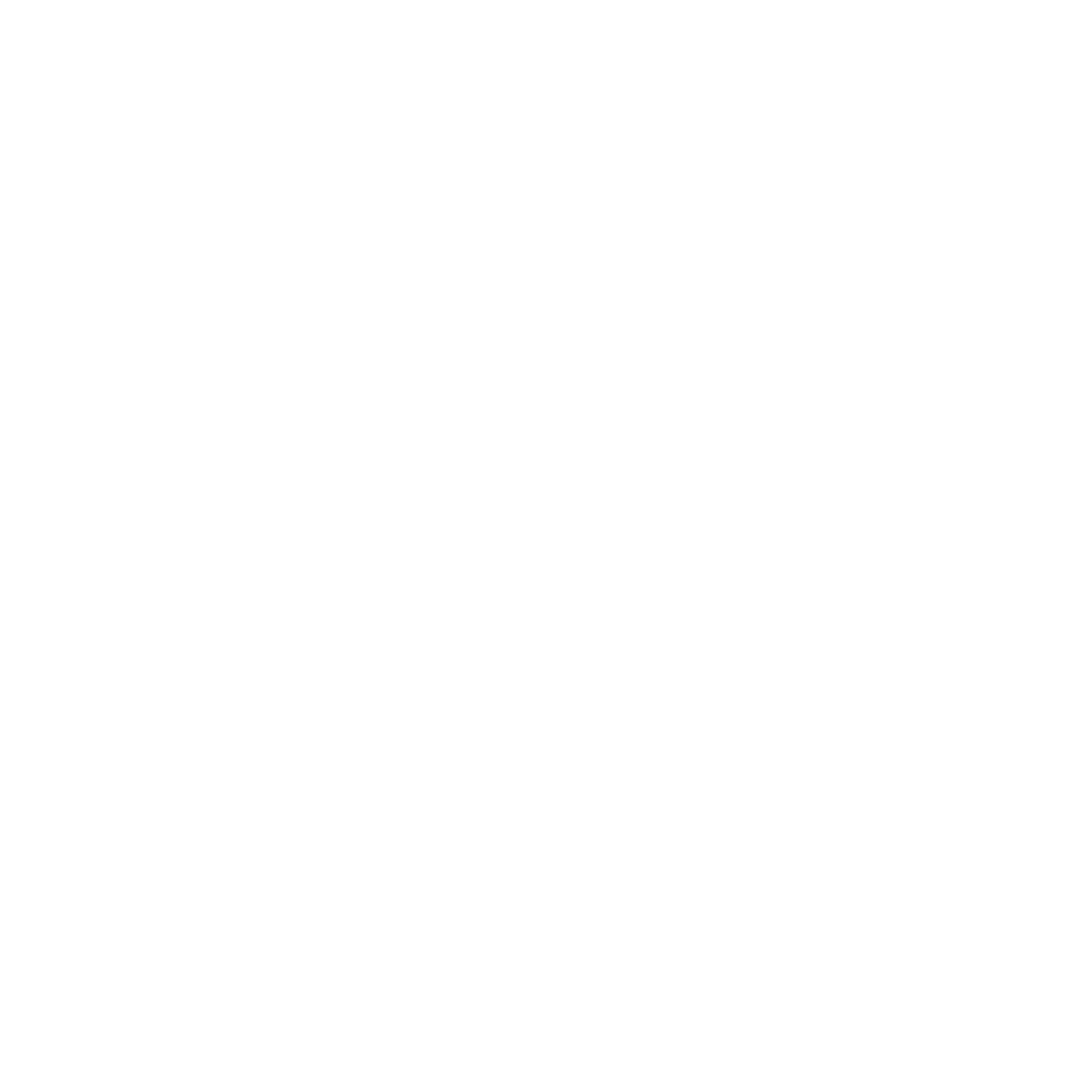 Wand icon weiß.png