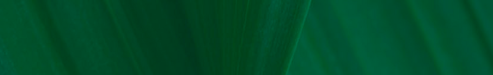 bg topo.png