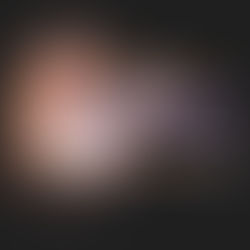 The New Season at the Tel Aviv Museum of Art 2025-2026