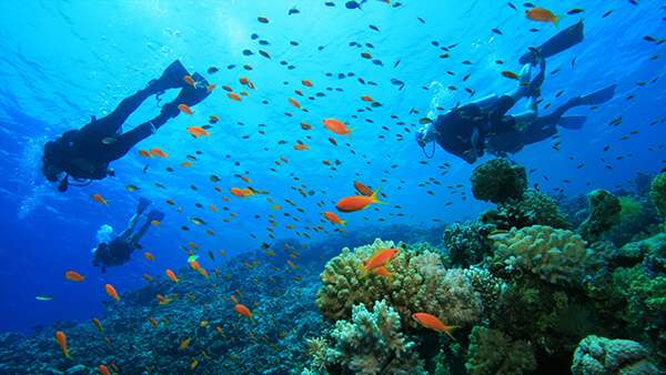 diving-tour.jpeg